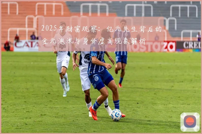 2025年财富观察：亿元先生背后的金元泡沫与身价虚高现象解析