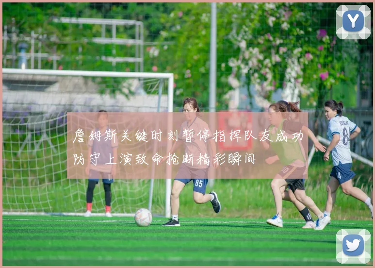 詹姆斯关键时刻暂停指挥队友成功防守上演致命抢断精彩瞬间
