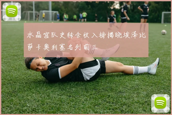 水晶宫队史转会收入榜揭晓埃泽比萨卡奥利塞名列前三