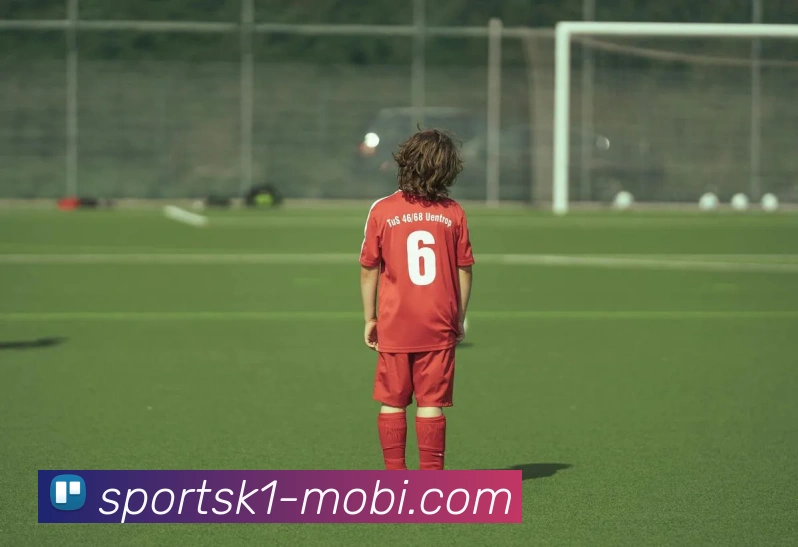 k1体育APP 封面图